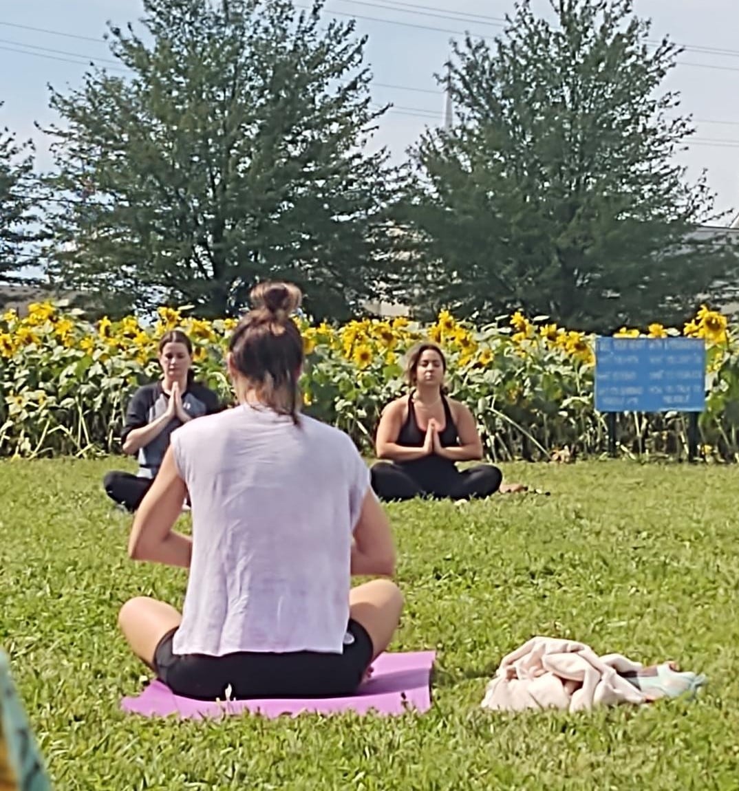 VTW pic sunflower yoga